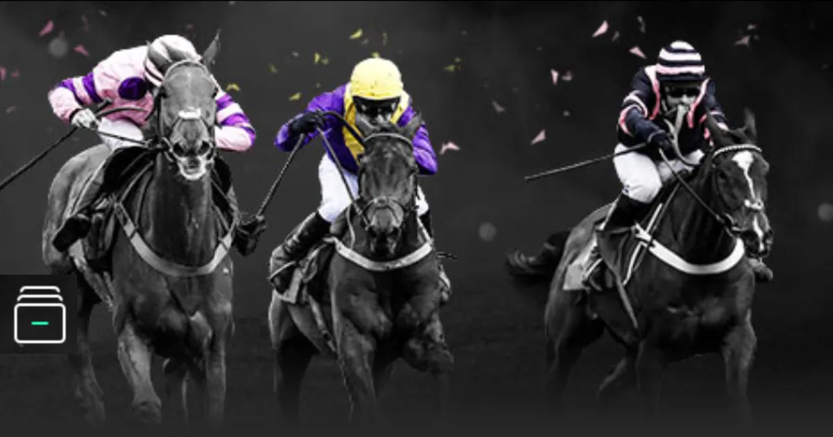 赛季球员赛,丁俊晖领衔,五将竞逐,8波足球比分,8波比分官网,8波体育,8波网页版,8波app下载电脑版