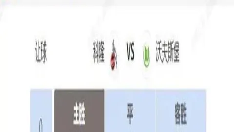 弗赖堡主场风云再起！挑战者能否逆袭守擂？